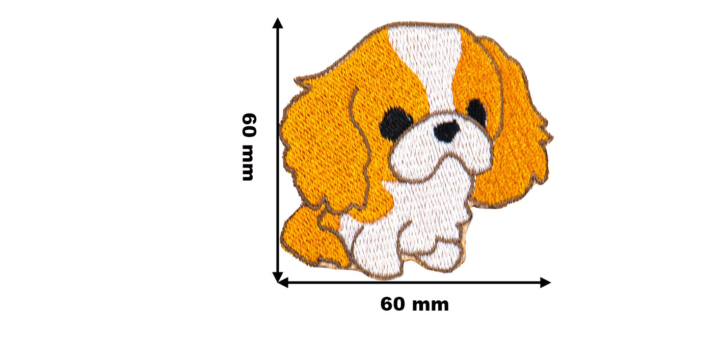 Naszywka naprasowanka cavalier king charles spaniel